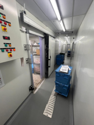 Screenshot 2025-03-21 175635